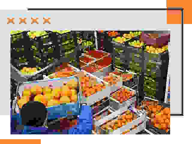 Перевозка скоропортящихся продуктов в чусовом